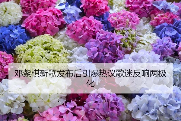 邓紫棋新歌发布后引爆热议歌迷反响两极化